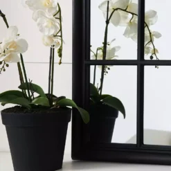 Martinique Curved Mirror 8 Martinique Curved Mirror -Home Style 1090093 C