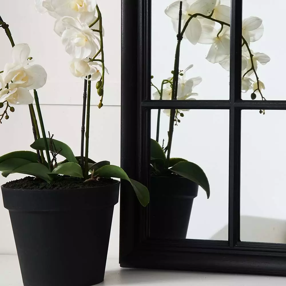 Martinique Curved Mirror 4 Martinique Curved Mirror - Image 4