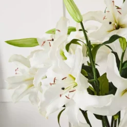 Lily Stem -Home Style 1117254613 B