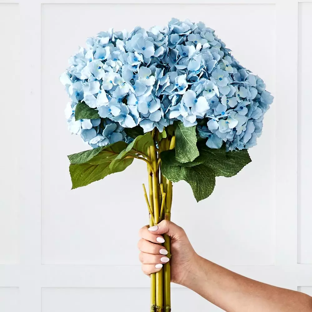 Hydrangea Flower 2 Hydrangea Flower - Image 2