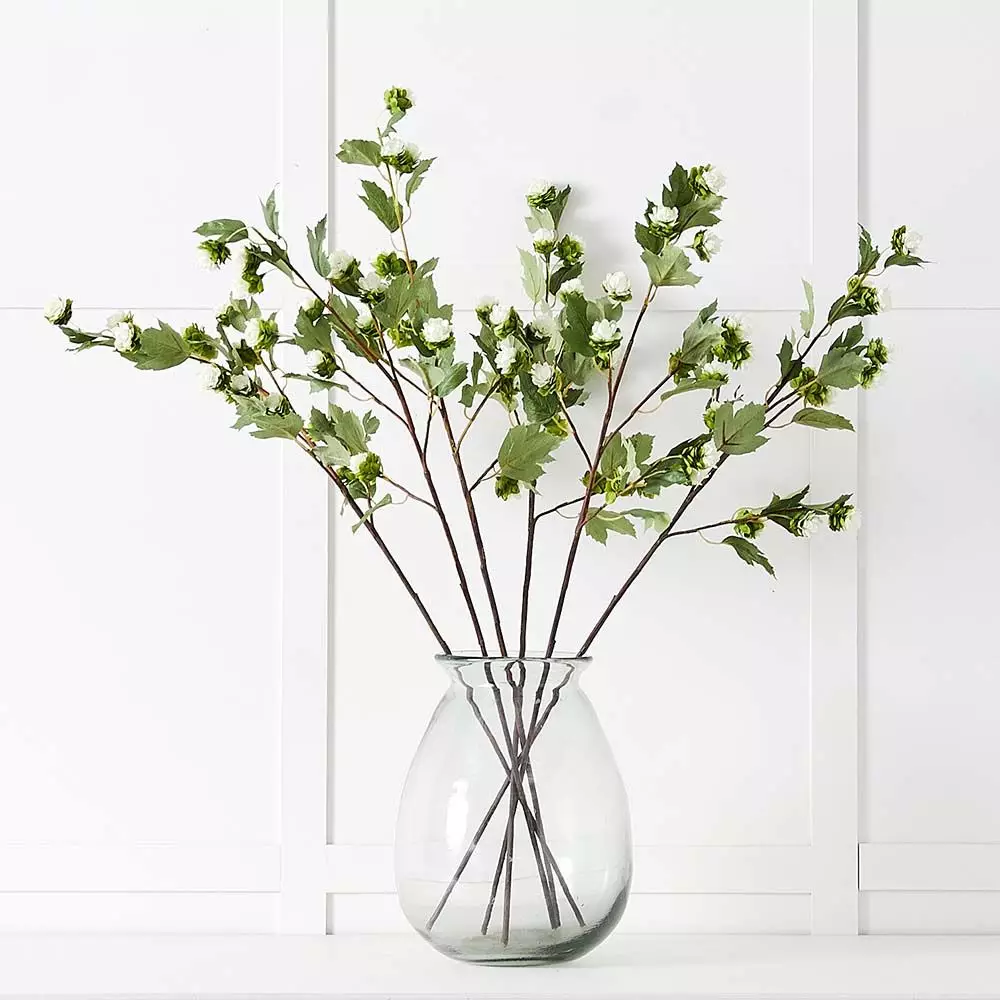 Humulus Stem 3 Humulus Stem - Image 3