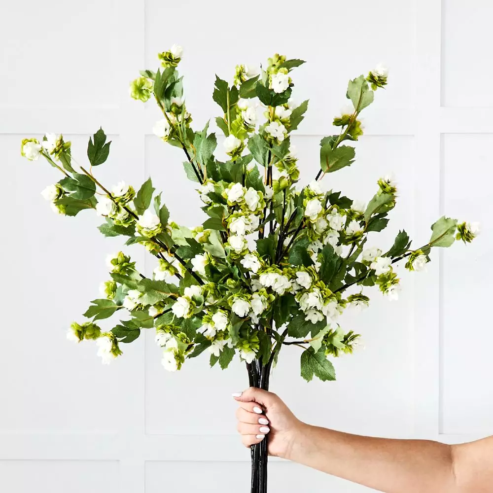 Humulus Stem 2 Humulus Stem - Image 2