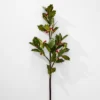 Holly Stem