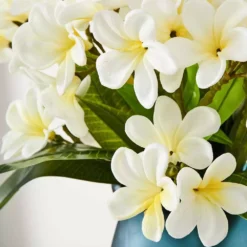 Frangipani Stem -Home Style 1117256709 D