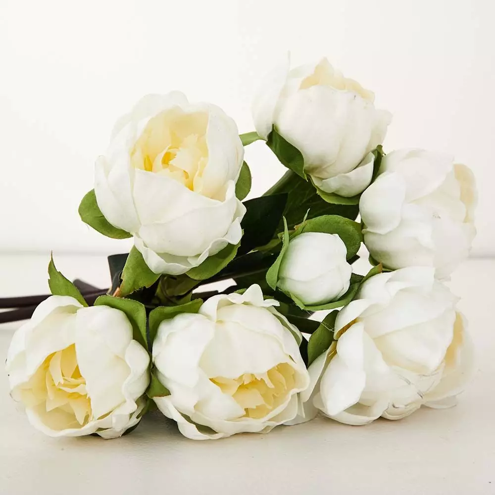 Peony Bunch 5 Peony Bunch - Image 5