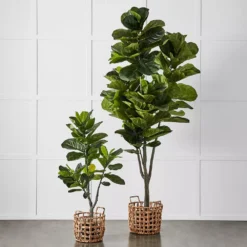Potted Ficus -Home Style 1117257675 u