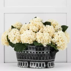 Kingdom Townhouse Trough