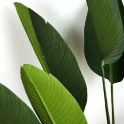 Potted Plant Palm -Home Style 1117258241 C