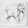 Elephant Canvas 110x110