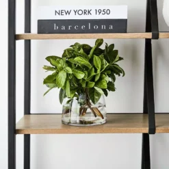 Catalina Shelf -Home Style 1117259196 C