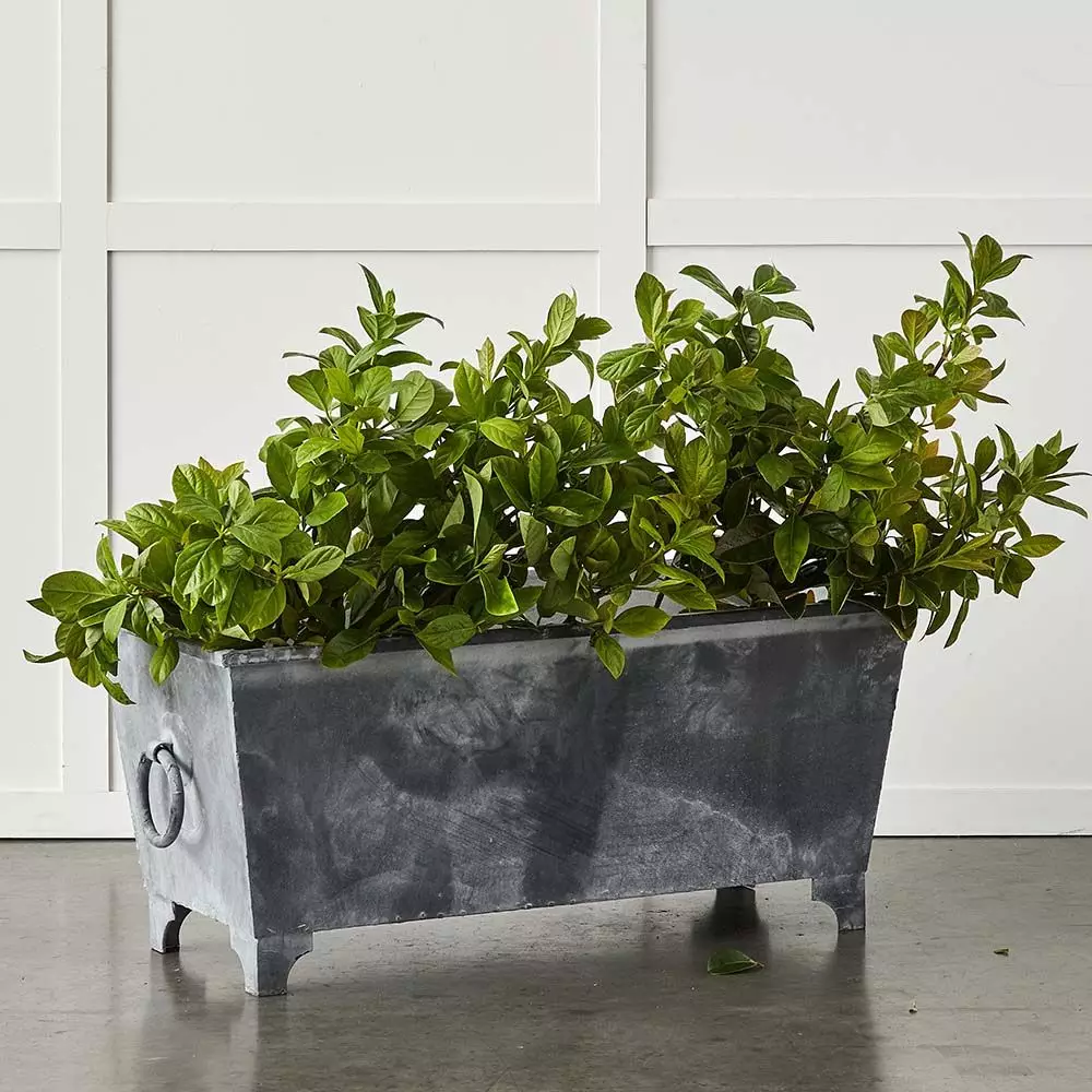 Normandy Trough 1 Normandy Trough