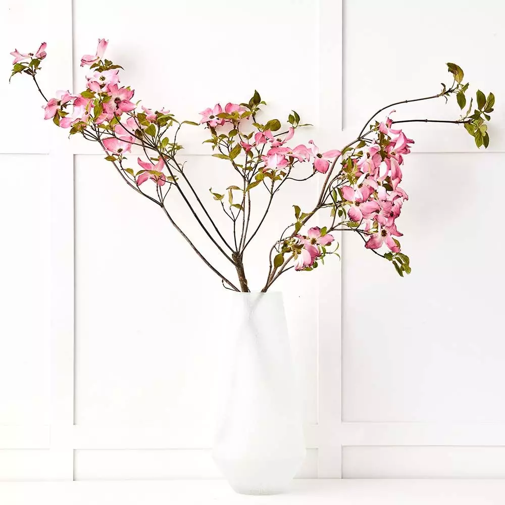 Parisi Tall Vase 2 Parisi Tall Vase - Image 2