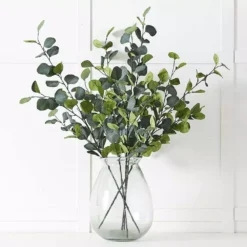Silver Eucalypt Foliage -Home Style 1117259477 A