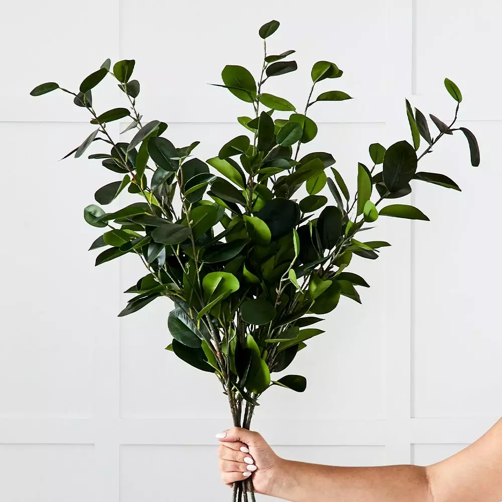 Citrus Leaf Foliage 2 Citrus Leaf Foliage - Image 2