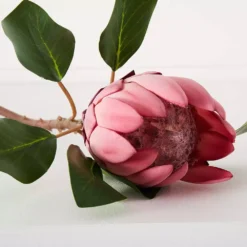 Protea Flower -Home Style 1117259914 D