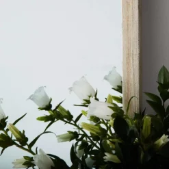 Maia Mirror -Home Style 1117259975 D