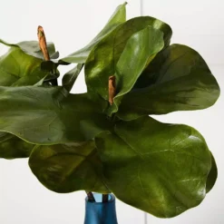 Fig Leaf Stem 8 Fig Leaf Stem -Home Style 1117260066 B