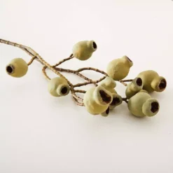 Gumnut Stem -Home Style 1117260067 C