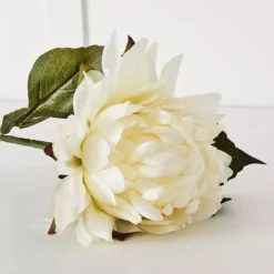 Dahlia Flower -Home Style 1117260240 c