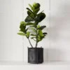 Minori Planter