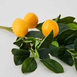 Lemon Stem -Home Style 1117260334 c