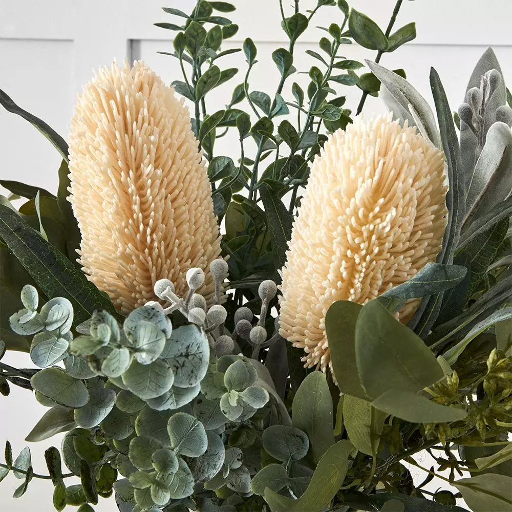 Protea Eucalypt Potted Flower M 2 Protea Eucalypt Potted Flower M - Image 2