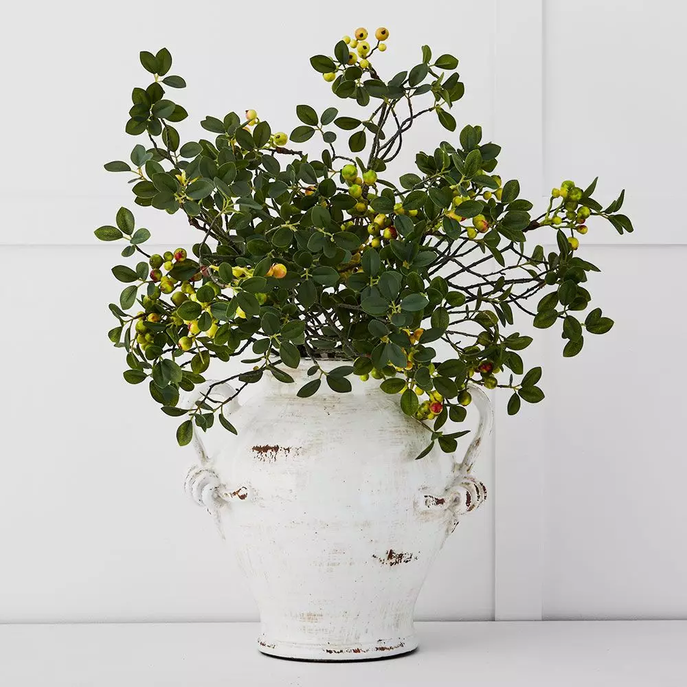 Kylix Urn 1 Kylix Urn