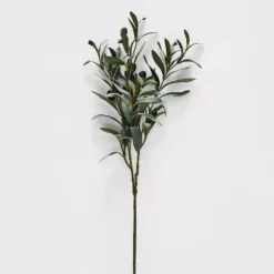 Olive Stem