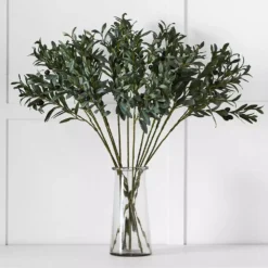 Olive Stem 5 Olive Stem -Home Style 1117261463 b
