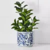 Macau Planter