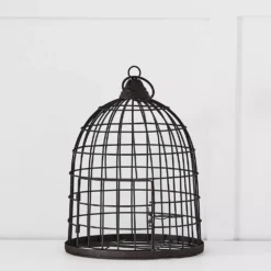 Canard Birdcage