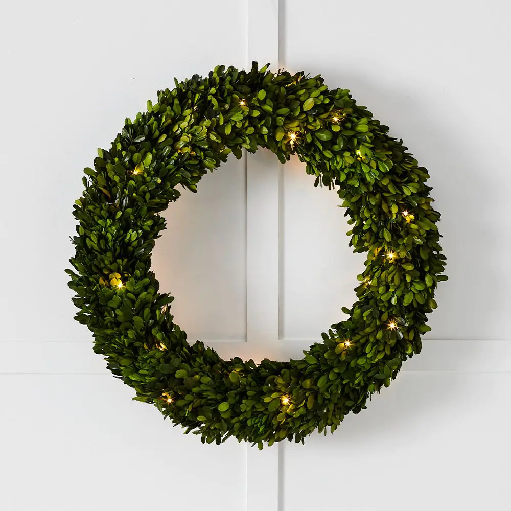 Boxwood Fairy Light Wreath 60cm 1 Boxwood Fairy Light Wreath 60cm