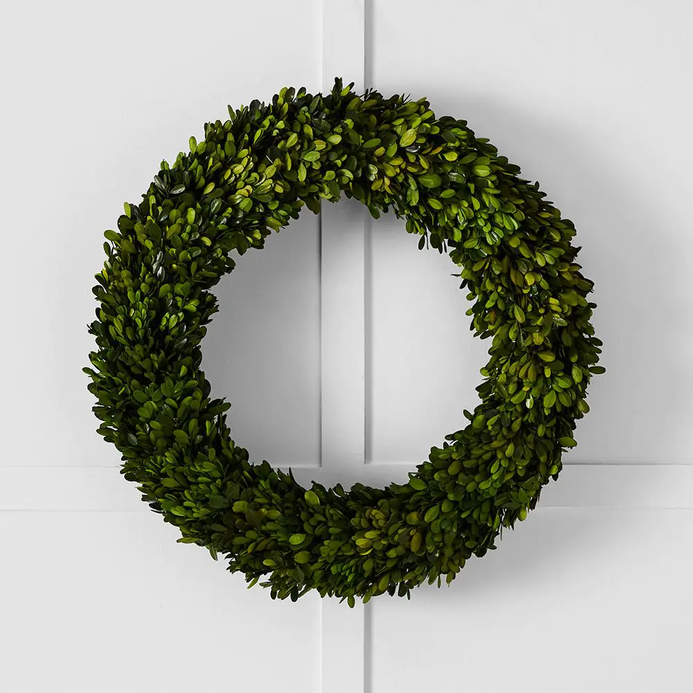Boxwood Fairy Light Wreath 60cm 2 Boxwood Fairy Light Wreath 60cm - Image 2