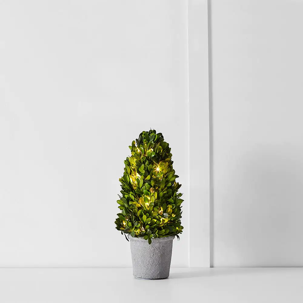 Boxwood Fairy Light Tree 34cm 1 Boxwood Fairy Light Tree 34cm