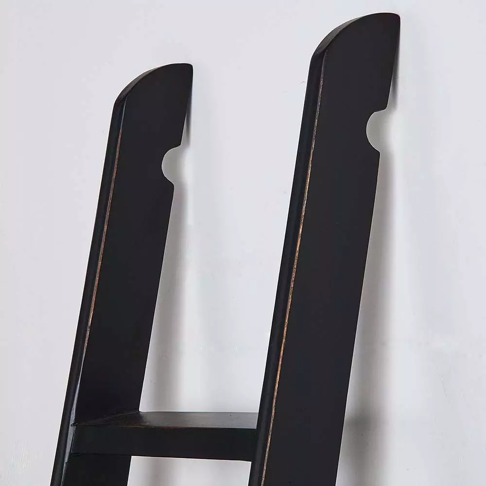 Obernai Library Ladder 2 Obernai Library Ladder - Image 2