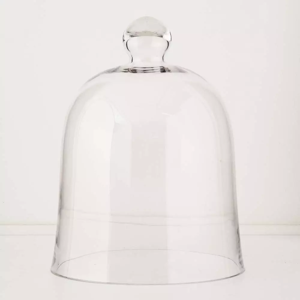 St Piere Glass Dome 1 St Piere Glass Dome